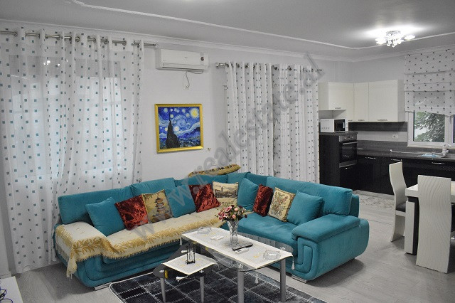 Two bedroom apartment for rent near Artificial Lake, in Tirana, Albania